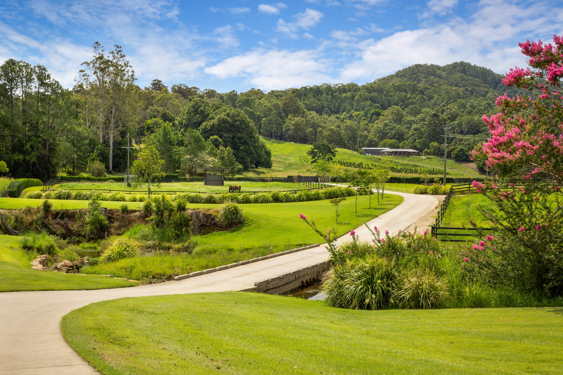 492 Nobbys Creek Road