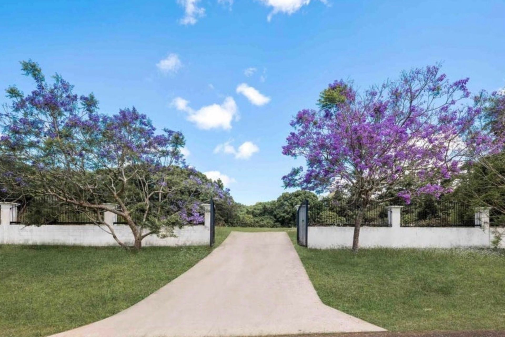 3 Magnolia  Place